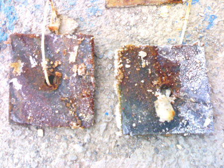 Jan2009030